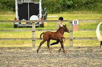 Championship Class 1 to 4