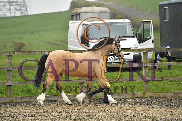 PAG_5537