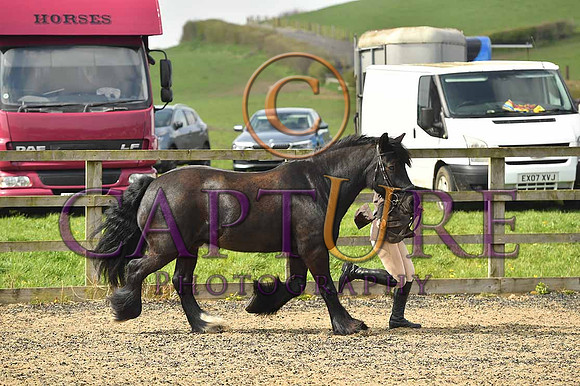 PAG_6524