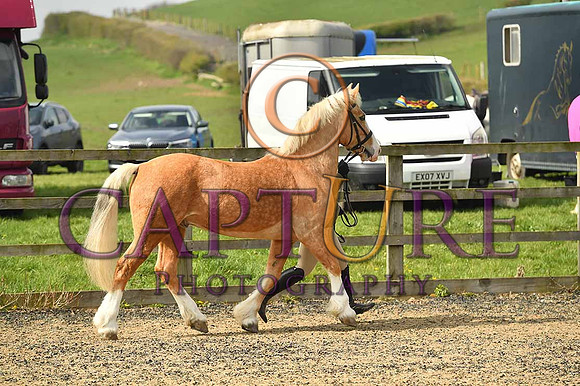 PAG_6536