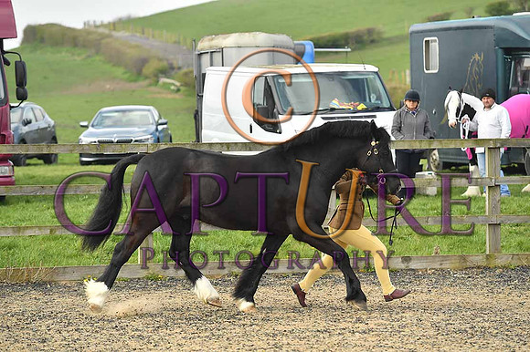 PAG_6505