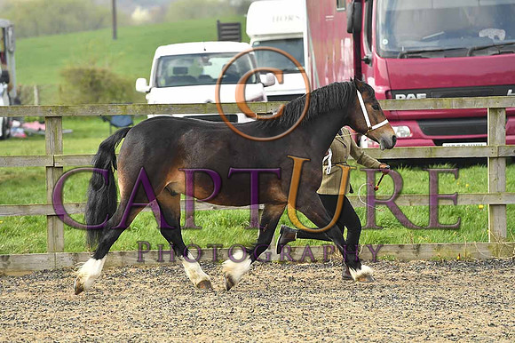 PAG_6515