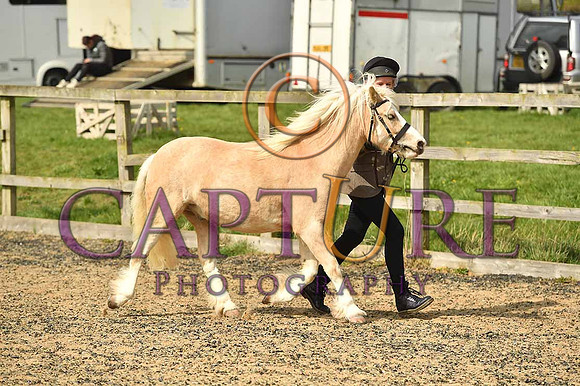 PAG_6572
