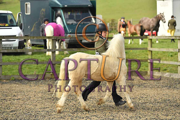 PAG_6578