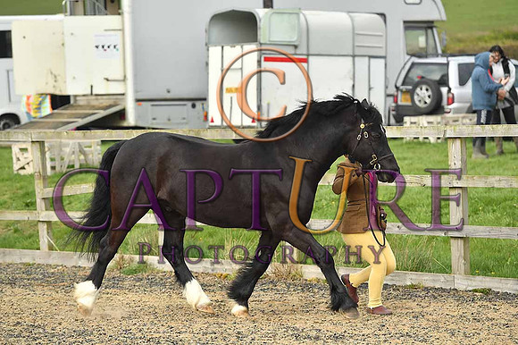 PAG_6508