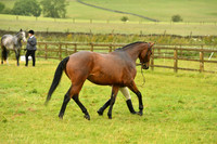 RAE_3837